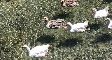 İnönü Havacılık Eğitim Merkezi'ndeki doğal güzellik