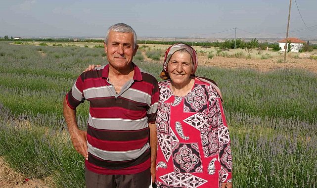 İnternetten gördüler, lavanta üreticisi oldular