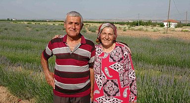 İnternetten gördüler, lavanta üreticisi oldular