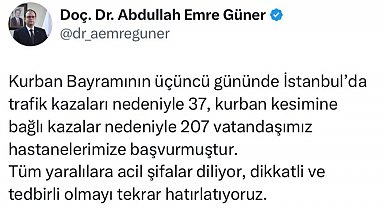 İstanbul'da bayramın 3'üncü gününde 244 kişi hastaneye başvurdu