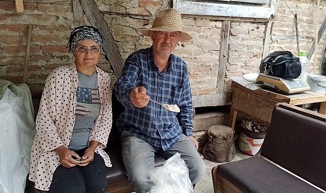 İstanbul'dan memlekete dönen iki kardeş, 10 dönümlük arazide salep bitkisi yetiştiriyor