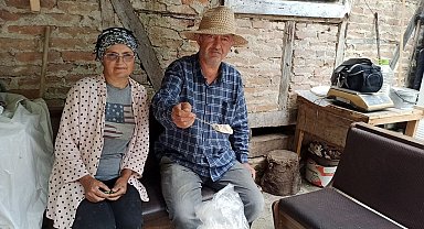 İstanbul'dan memlekete dönen iki kardeş, 10 dönümlük arazide salep bitkisi yetiştiriyor