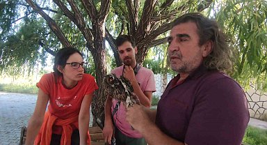 İtalya'dan Van'a geldiler, doğaya kuş saldılar