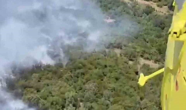 İvrindi'de orman yangını