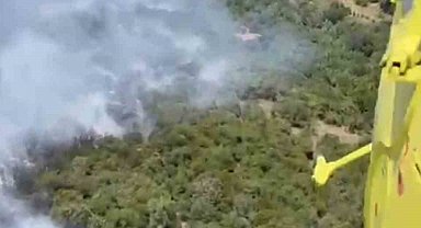 İvrindi'de orman yangını