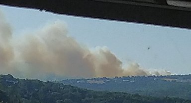 İvrindi'de orman yangını