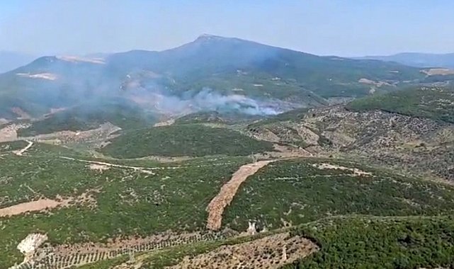 İzmir Torbalı'da orman yangınına müdahale sürüyor