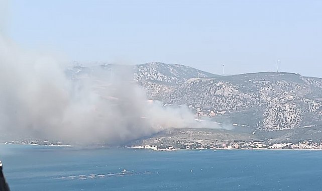 İzmir'de çıkan orman yangınına havadan ve karadan müdahale başladı