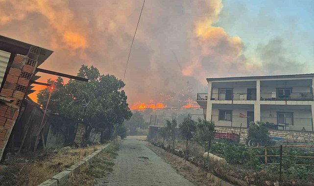 İzmir'de orman yangını kontrol altında