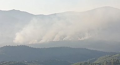 İzmir'de orman yangını sürüyor... Günün aydınlanmasıyla havadan müdahale yeniden başladı