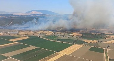 İzmir'de orman yangınına havadan ve karadan müdahale