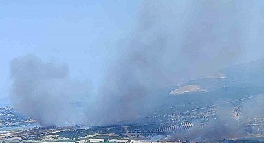 İzmir'de ormanlık alanda çıkan yangın kontrol altında