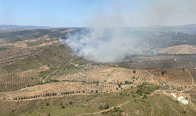 İzmir'de ormanlık alanda yangına havadan ve karadan müdahale başladı