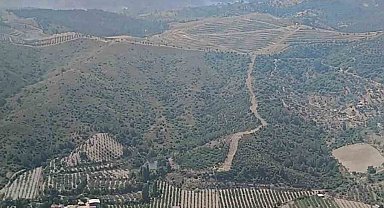 İzmir'de ormanlık arazide çıkan yangın kontrol altında