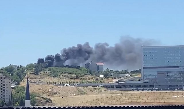 İzmit'te ağaçlık alan yangını: Dumanlar birçok yerden görüldü