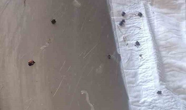 Jandarma devriye sırasında üzerinde keneler bulunan kaplumbağayı kurtardı