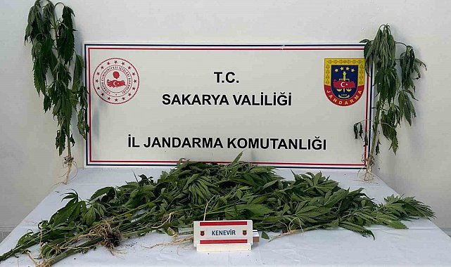 Jandarma uyuşturucuya geçit vermiyor: 3 tutuklama