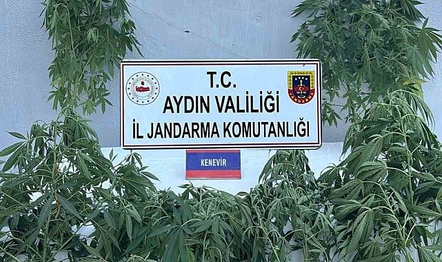 Jandarmada uyuşturucu operasyonu: 16 gözaltı