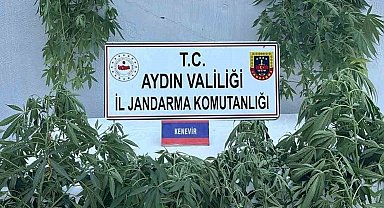 Jandarmada uyuşturucu operasyonu: 16 gözaltı