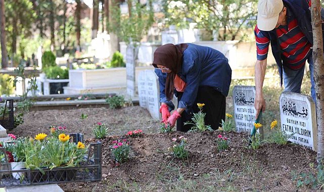 Kabirlere dikilmek amacıyla binlerce çiçek dağıtıldı