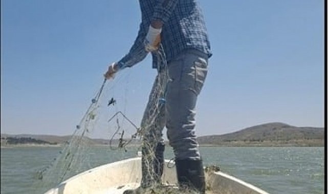 Kaçak avcıların ağı denetimde ortaya çıktı