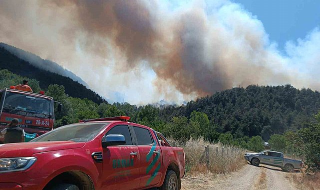 Kahramanlar geri döndü