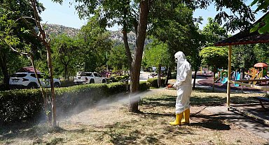 Kahramanmaraş kene tehdidine karşı ekipler sahada