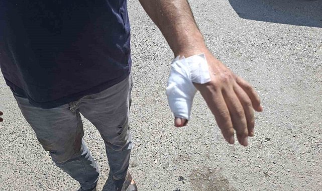 Kahramanmaraş'ta acemi kasaplar hastaneye koştu