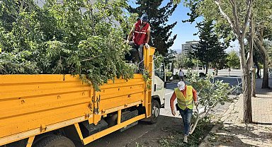 Kahramanmaraş'ta fırtınanın oluşturduğu hasar ortadan kaldırılıyor