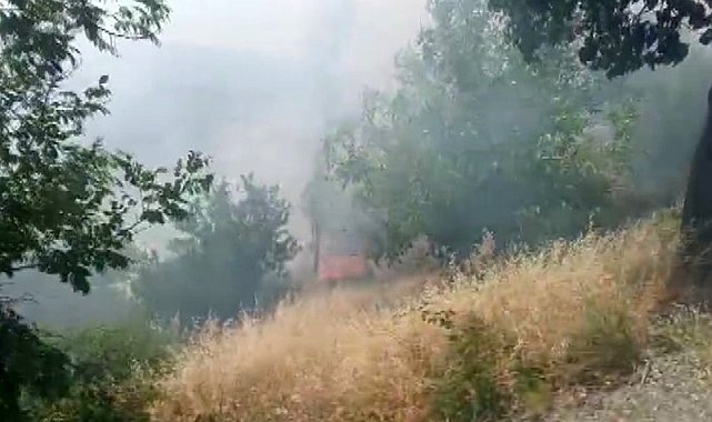 Kahramanmaraş'ta orman yangını büyümeden söndürüldü