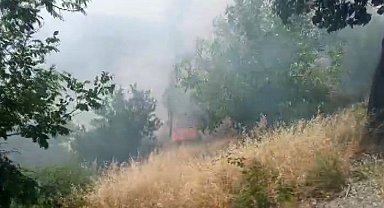 Kahramanmaraş'ta orman yangını büyümeden söndürüldü