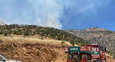 Kahramanmaraş'ta orman yangını sürüyor
