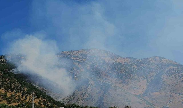 Kahramanmaraş'ta orman yangını