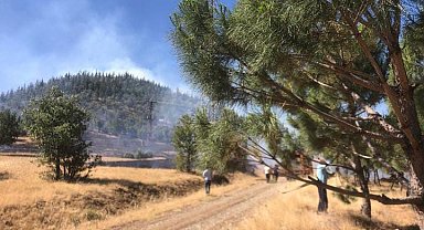 Kahramanmaraş'ta orman yangını