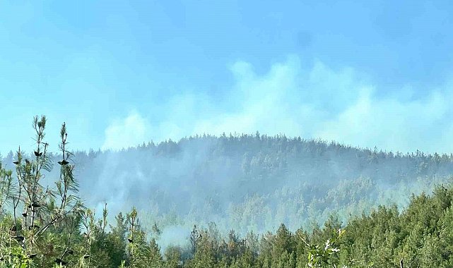 Kahramanmaraş'taki ikinci orman yangını da kontrol altında