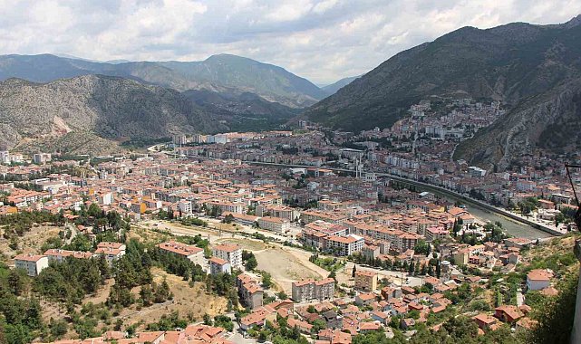 Kahverengi kokarca yayılıyor: Amasya'da da tespit edildi