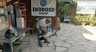 Kamyon çarpan leylek tedavi altına alındı, Başkan Sürücü 'dikkat' çağrısı yaptı