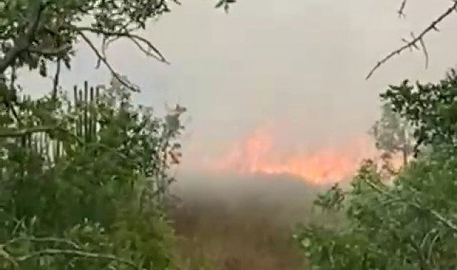 Karabük'te anız yangını büyümeden söndürüldü