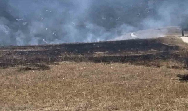 Karabük'te anız yangınında 1 dönüm tarım arazisi zarar gördü