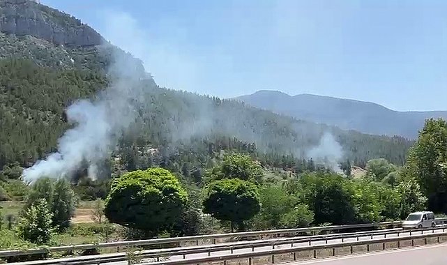 Karabük'te örtü yangınları büyümeden söndürüldü