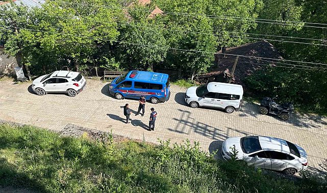 Karabük'teki köpek ölümleriyle ilgili inceleme başlatıldı