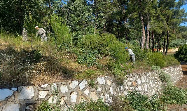 Karacasu Belediyesi'nden Dedebağ'da temizlik çalışması