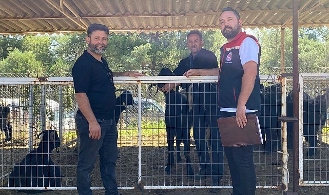 Karacasu'da kurban satış yerleri denetlendi