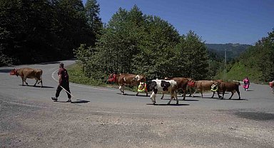 Karadeniz'den renkli yayla göçleri