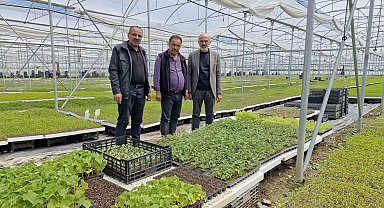 Karaman'da bir çiftçi kurduğu serada 5 milyon fide üretiyor