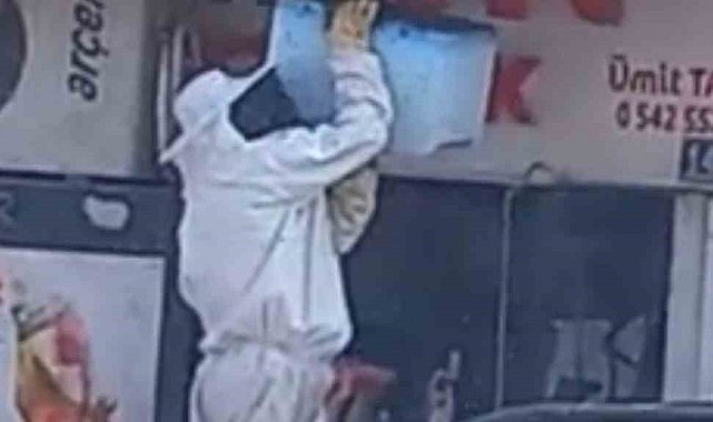 Karapınar'da arı paniği