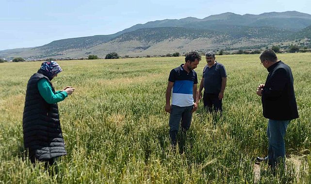 Karapınar'da dolu ve sel felaketinde etkilenen bölgelerde incelemelerde bulunuldu