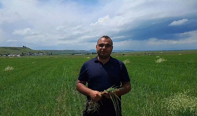 Kars'ta etkili olan dolu tarım arazilerine zarar verdi