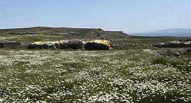 Kars'ta köylüler yaylaları imece usulü hazırlıyor