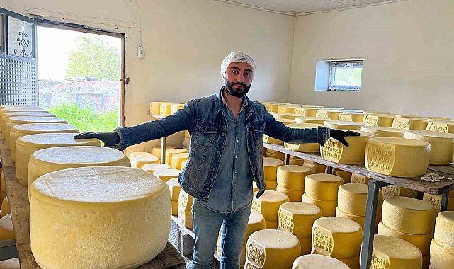 Kars'ta tonlarca süt, eski kaşar için işleniyor